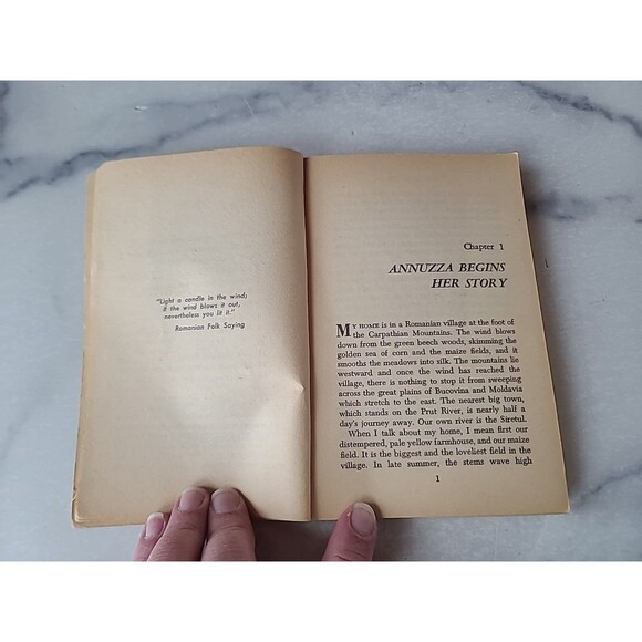 Candle In The Wind By Hertha Seuberlich Paperback - Picture 4 of 10